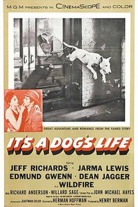 It's a Dog's Life