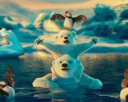 The Polar Bears