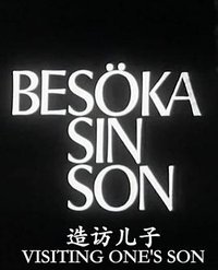 Visiting One's Son