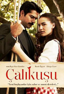 Çalıkuşu (Qalikuxi)