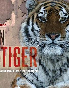 Operation Snow Tiger