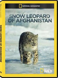 Snow Leopard of Afghanistan
