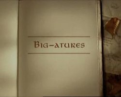 Big-atures