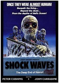 Shock Waves