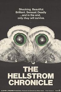 Die Hellstrom Chronik