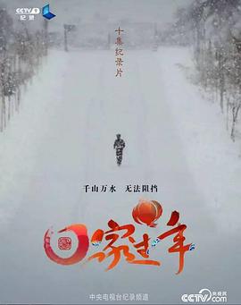 回家过年 第一季