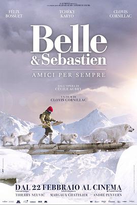 Belle and Sebastian, Friends for Life