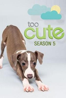Too Cute!
