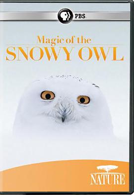 Magic of the Snowy Owl