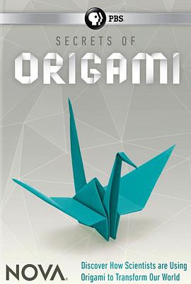 Nova - The Origami Revolution