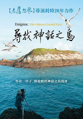 Enigma: The Chinese Crested Tern