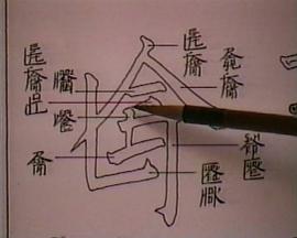 新英文书法