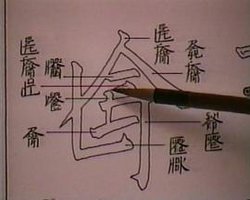 新英文书法