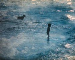 The Beach