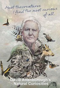 David Attenborough's Natural Curiosities Season 3