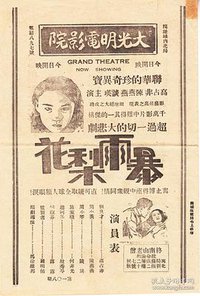 暴雨梨花