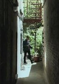 外传