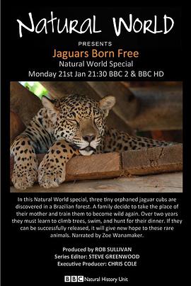 The Natural World: Jaguars: Born Free