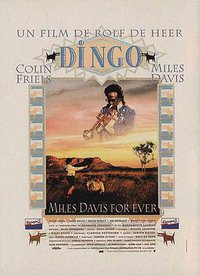 Dingo