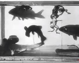 Aquarium