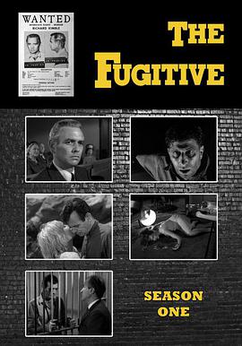 The Fugitive sæson 1