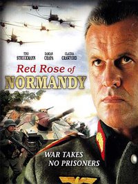 red rose of normandy