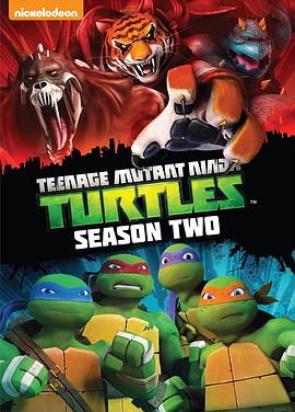Teenage Mutant Ninja Turtles (忍者神龟 第二季)
