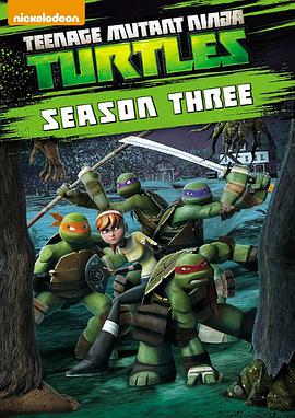 Teenage Mutant Ninja Turtles (忍者神龟 第三季)