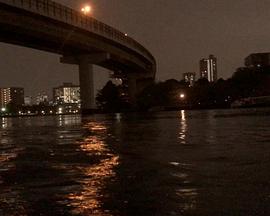 夜航
