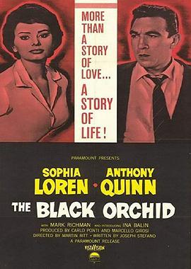 The Black Orchid