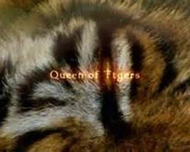 The Natural World: Queen of Tigers