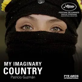 My Imaginary Country