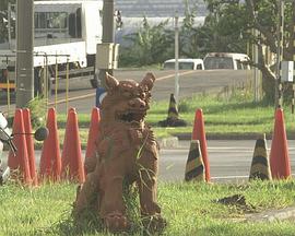 纪实72小时：冲绳·驾校 准驾之后的期盼