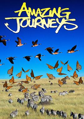 Amazing Journeys