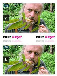 Bill Bailey's Jungle Hero