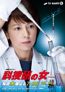 科搜研之女 第14季