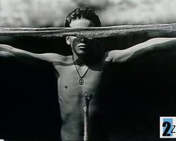 Blood Ties: The Life and Work of Sally Mann