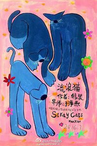 Stary Cats