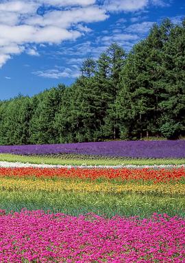Hokkaido: Garden of the Gods