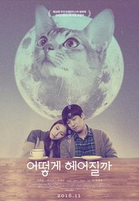 How to Break up with My Cat