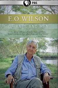 Of Ants and Men