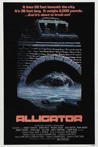 Alligator