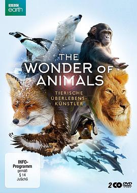 The Wonder of Animals