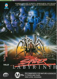 The Spider Labyrinth
