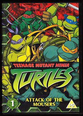 Teenage Mutant Ninja Turtles (忍者神龟 第五季)