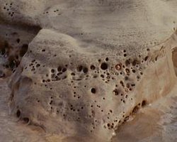 A Human Certainty