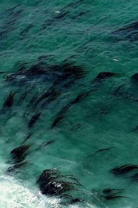 Visions of an Island