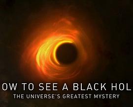 How to See a Black Hole: The Universe's Greatest Mystery