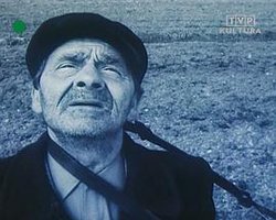 美好的一天