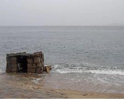 Tide
